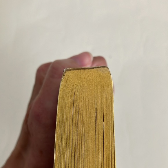 William Johnstone Vengeance in the Ashes Paperback 1993 First Printing - Picture 7 of 8